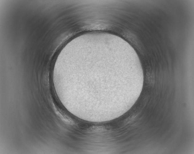 X0000053080534200507251528