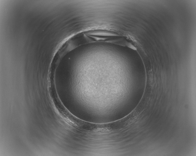 X0000053080536200507251528