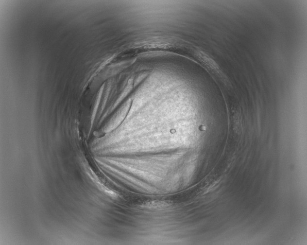 X0000053080537200507251528