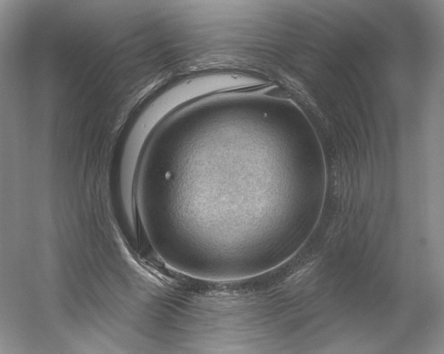X0000053080538200507251528