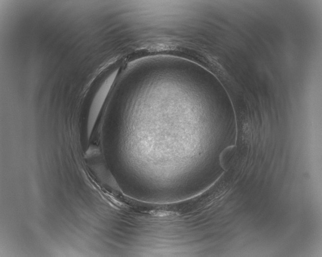 X0000053080539200507251528