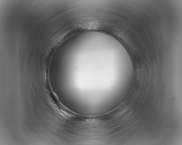 X0000053080541200507251528