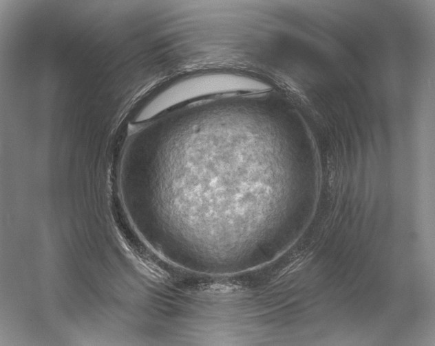 X0000053080542200507251528