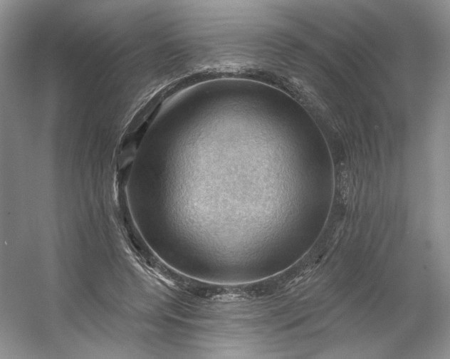 X0000053080544200507251528