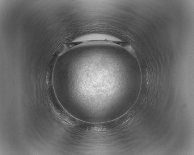 X0000053080546200507251528
