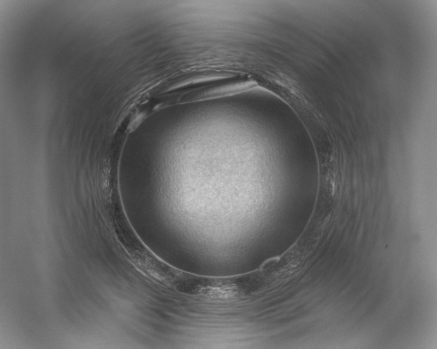 X0000053080548200507251528