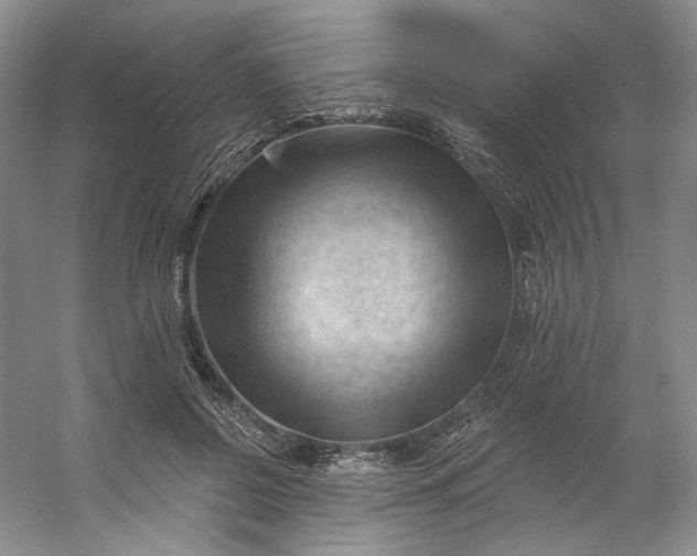X0000053080550200507251528