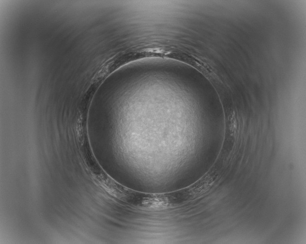 X0000053080559200507251529