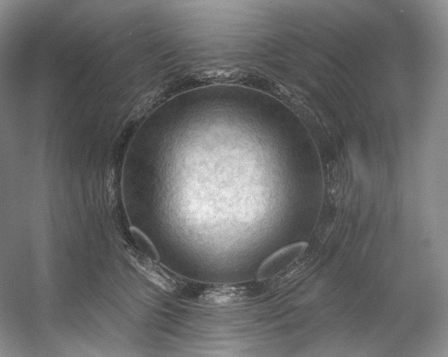 X0000053080563200507251529