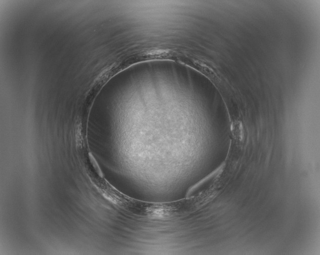 X0000053080564200507251529