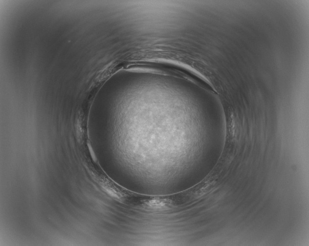 X0000053080566200507251529