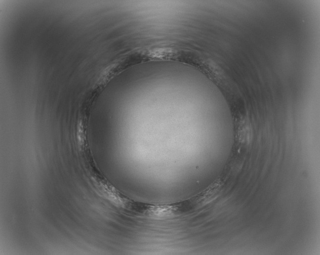 X0000053080569200507251529