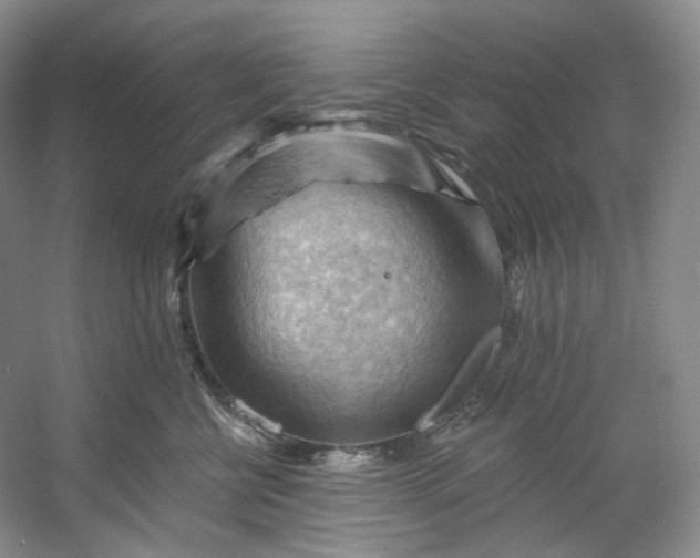 X0000053080570200507251529