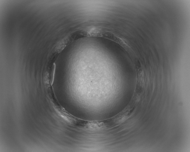 X0000053080571200507251529