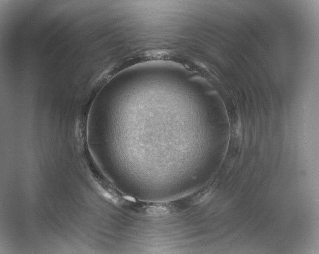 X0000053080572200507251529