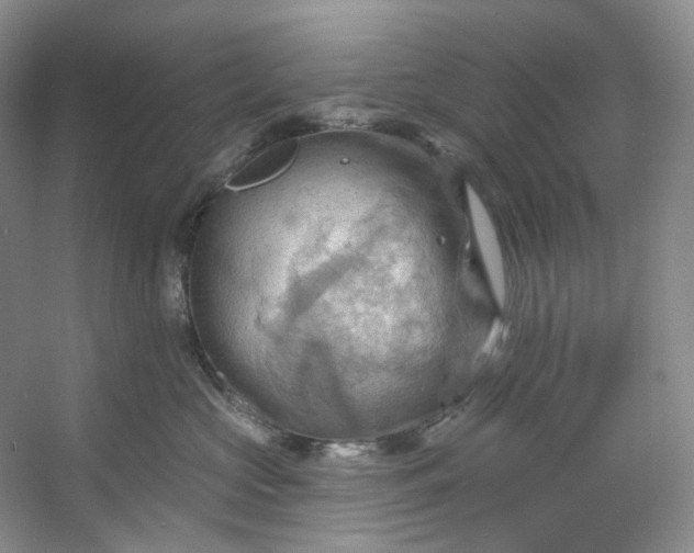 X0000053080573200507251529