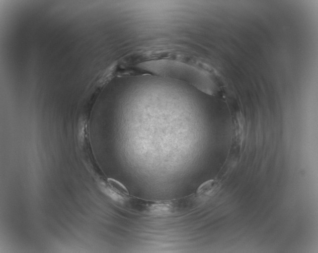 X0000053080574200507251529