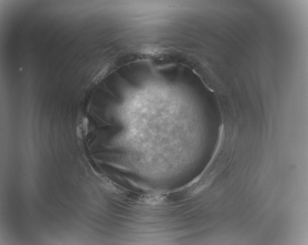 X0000053080576200507251529