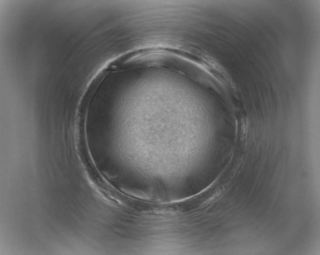 X0000053080580200507251528