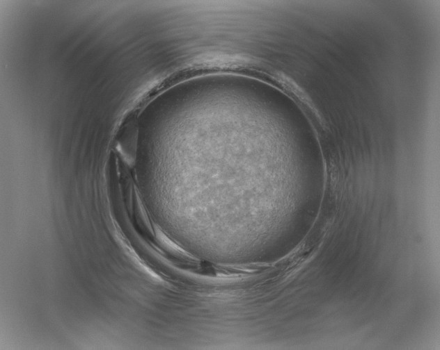 X0000053080581200507251528