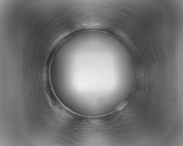 X0000053080583200507251528