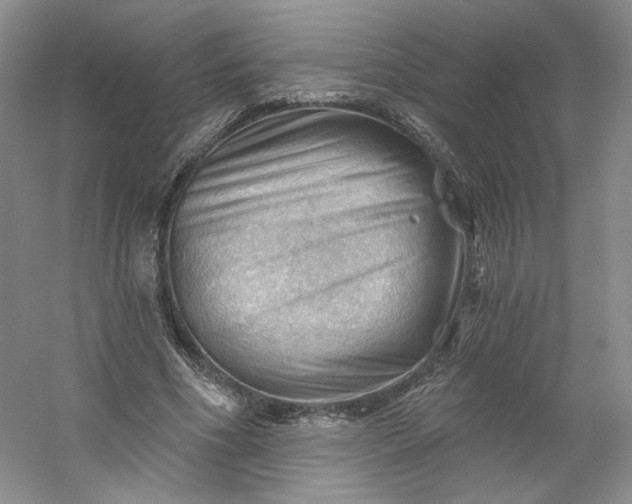 X0000053080586200507251528