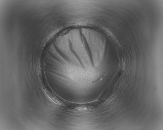 X0000053080588200507251528