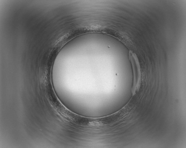 X0000053080591200507251528