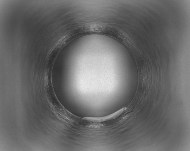 X0000053080595200507251528