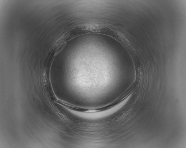 X0000053080597200507251528