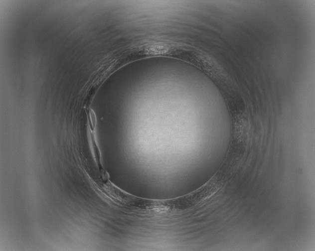 X0000053080598200507251528