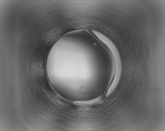 X0000053080599200507251528