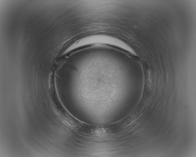 X0000053080600200507251528