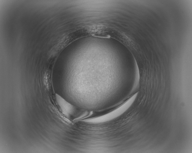 X0000053080601200507251528