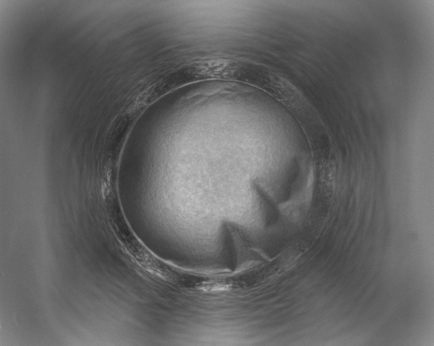 X0000053080602200507251528