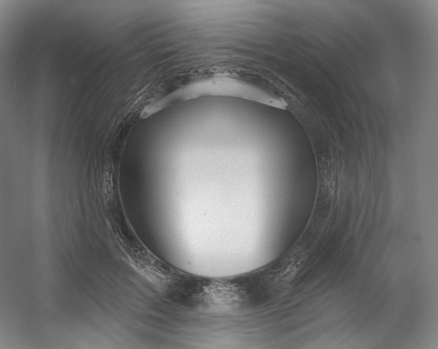 X0000053080603200507251528