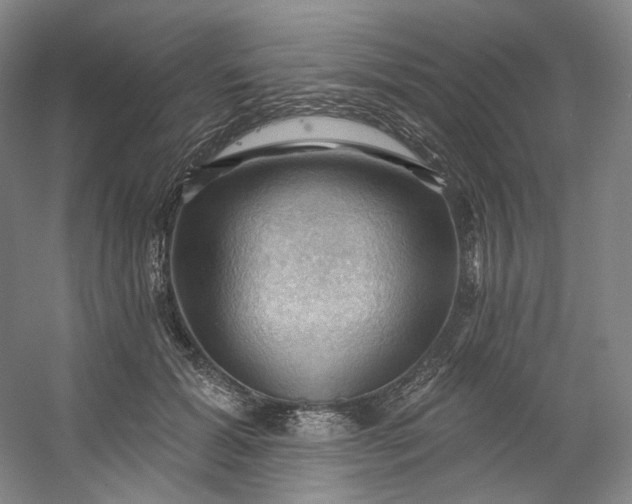 X0000053080605200507251528