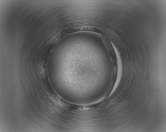 X0000053080607200507251528