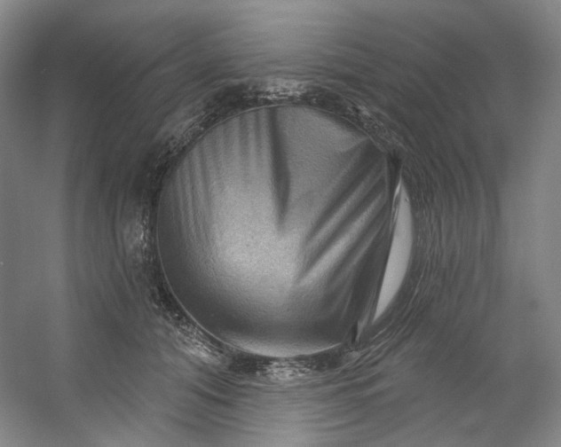 X0000053080608200507251528