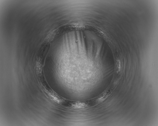 X0000053080609200507251527