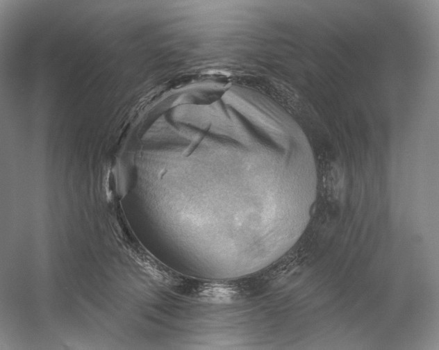 X0000053080610200507251527