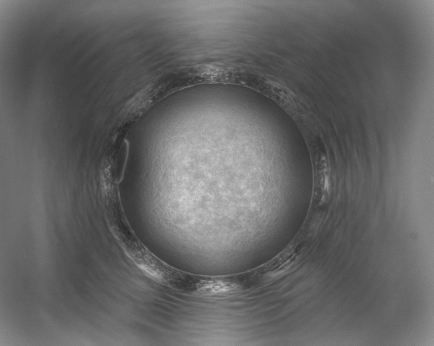 X0000053080611200507251527