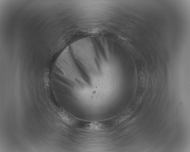 X0000053080612200507251527