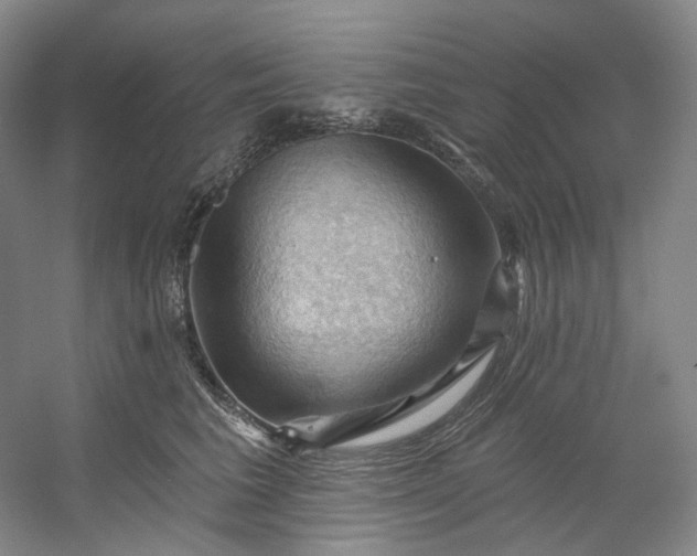 X0000053080613200507251527