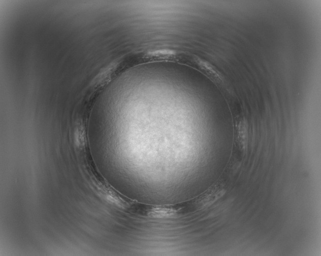X0000053080617200507251527