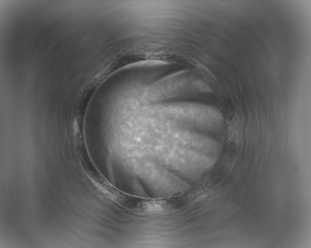 X0000053080618200507251527