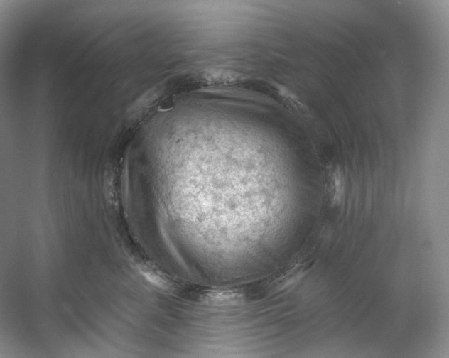 X0000053080619200507251527