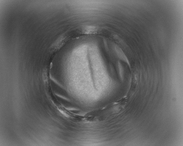 X0000053080620200507251527