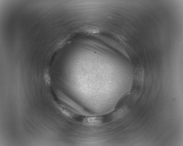 X0000053080622200507251527