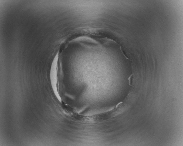 X0000053080624200507251527